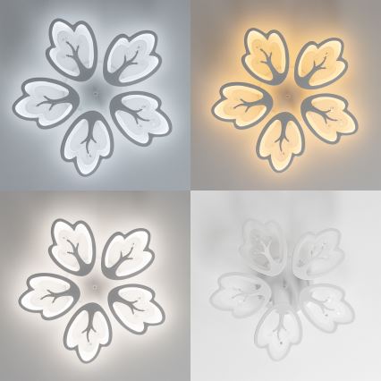 Brilagi - Dimbar LED ytmonterad ljuskrona TWIST LED/80W/230V 3000-6500K vit + fjärrkontroll