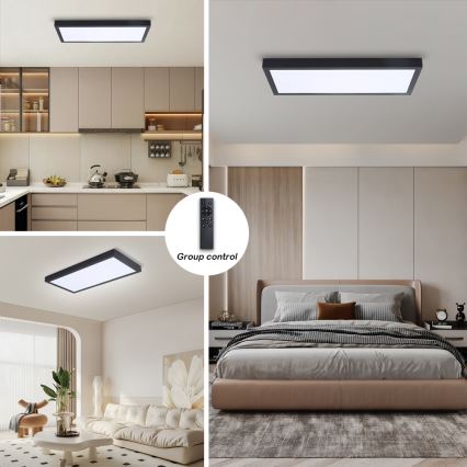 Brilagi - LED dimbar badrumsarmatur FRAME SMART LED/30W/230V 30x60 cm 3000-6000K  IP44 svart  + fjärrkontroll