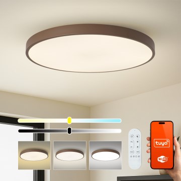 Brilagi - Dimbart LED-armatur POOL SMART LED/128W/230V Ø 100 cm Wi-Fi Tuya + fjärrkontroll brun