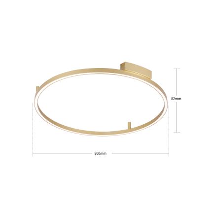 Brilagi - LED-dimbar taklampa PORTOFINO LED/60W/230V 3000-6000K Ø 80 cm guld + fjärrkontroll