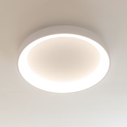 Brilagi - Dimbart LED-takarmatur FALCON II LED/99W/230V 3000–6500K Ø 60 cm vit + fjärrkontroll