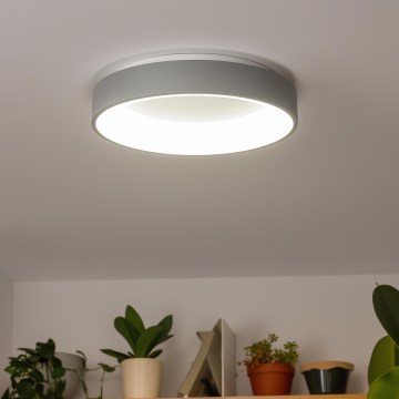 Brilagi - Dimbart LED-takarmatur FALCON LED/80W/230V 3000-6500K Ø 60 cm grå + fjärrkontroll