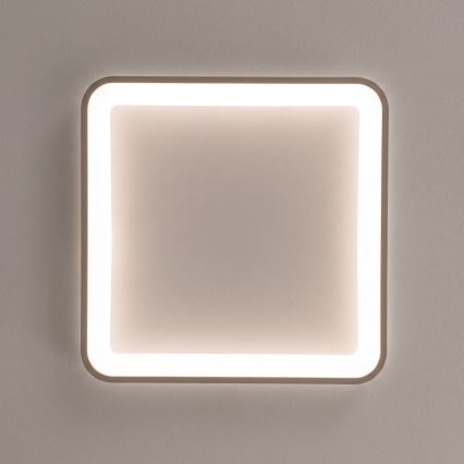 BRILAGI - LED-takarmatur med dimmer FALCON SLIM LED/50W/230V 3000-6500K 50x50 cm vit/beige + fjärrkontroll