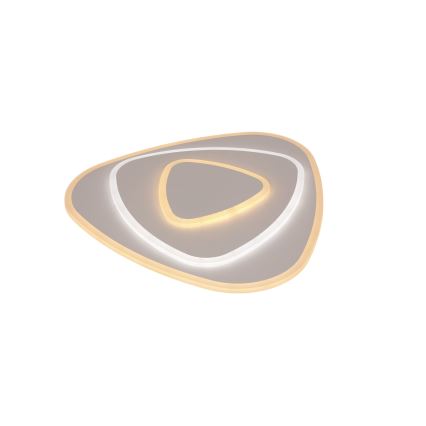 Brilagi - Dimbart LED-takarmatur MODERN LED/58W/230V 3000-6000K 47x48,5 cm+ fjärrkontroll