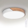 BRILAGI - dimbart LED-takarmatur PILANA LED/48W/230V ek/vit Ø 40 cm + fjärrkontroll