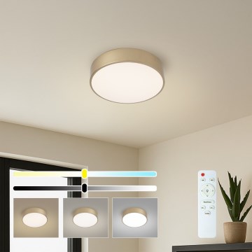 BRILAGI - Dimbart LED-takarmatur POOL LED/24W/230V 3000-6000K Ø 20 cm guld + fjärrkontroll