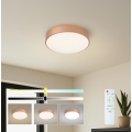 BRILAGI - Dimbart LED-takarmatur POOL LED/36W/230V 3000-6000K Ø 30 cm kopparfärgad + fjärrkontroll