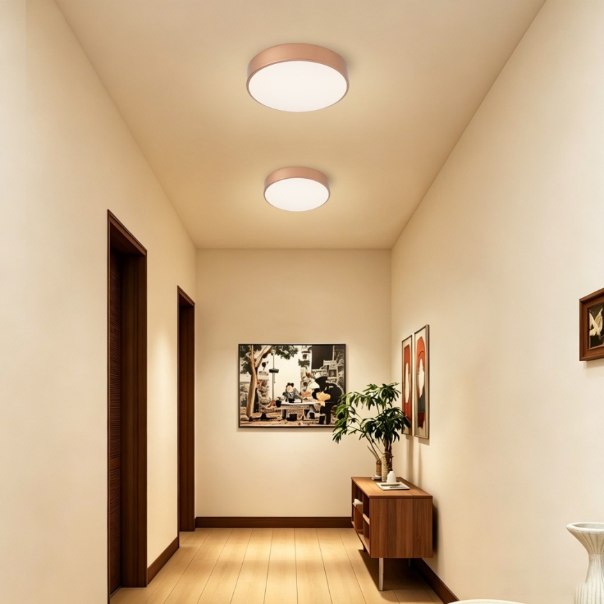 BRILAGI - Dimbart LED-takarmatur POOL LED/36W/230V 3000-6000K Ø 30 cm kopparfärgad + fjärrkontroll
