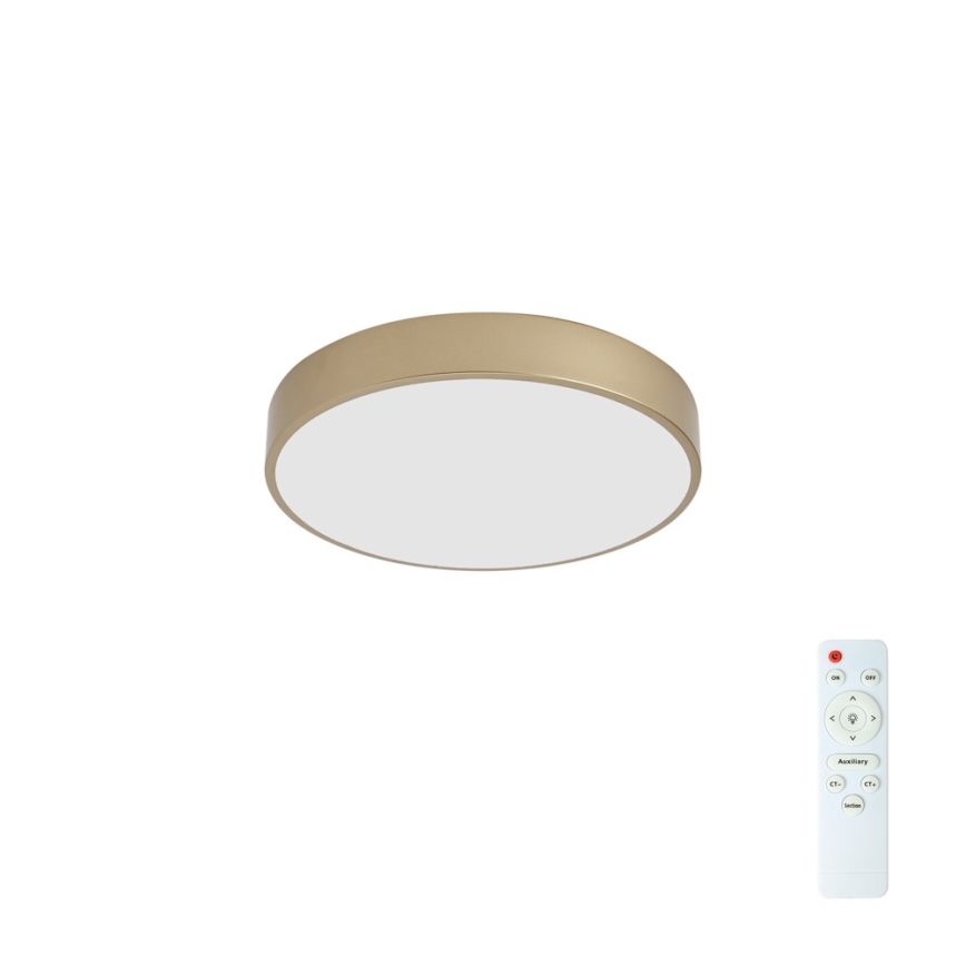 BRILAGI - dimbar LED-takplafond POOL LED/48W/230V 3000-6000K Ø 40 cm, guld, inklusive fjärrkontroll