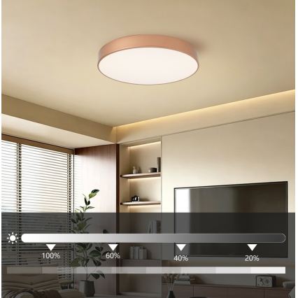 BRILAGI - Dimbart takarmatur POOL LED/60W/230V 3000-6000K Ø 50 cm kopparfärgad + fjärrkontroll