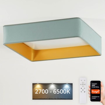 Brilagi - Dimbart LED-takarmatur VELVET SQUARE SMART LED/36W/230V 60x60 cm 2700-6500K Wi-Fi Tuya + fjärrkontroll mintgrön