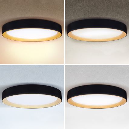 Brilagi - Dimbar LED-taklampa LARIOS LED/72W/230V 3000-6500K svart Ø 59 cm + fjärrkontroll