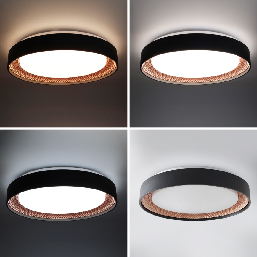 BRILAGI - Dimbar LED-taklampa WALDO LED/48W/230V 3000–6500K Ø40 cm svart/guld + fjärrkontroll