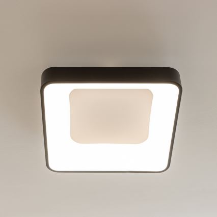 Brilagi - LED Dimmbar takarmatur FALCON II LED/80W/230V 3000-6500K 40x40 cm svart + fjärrkontroll