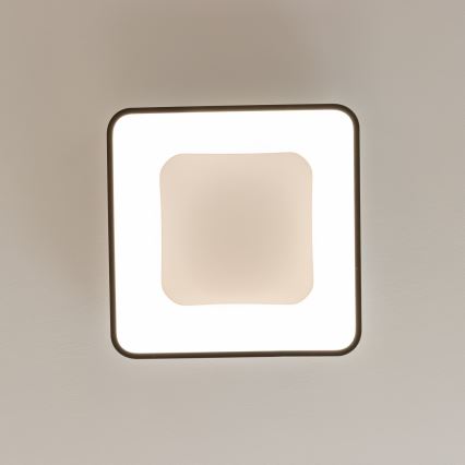 Brilagi - LED Dimmbar takarmatur FALCON II LED/80W/230V 3000-6500K 40x40 cm svart + fjärrkontroll