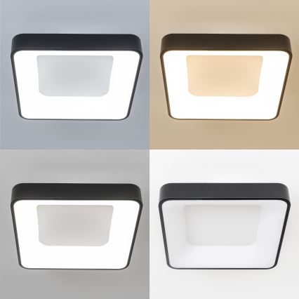 Brilagi - LED Dimmbar takarmatur FALCON II LED/80W/230V 3000-6500K 40x40 cm svart + fjärrkontroll