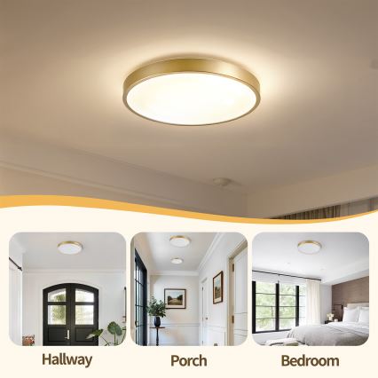 Brilagi - Dimbart LED-takarmatur GLASS POOL DOUBLE LED/48W/230V 3000-6000K 40 cm guld + fjärrkontroll