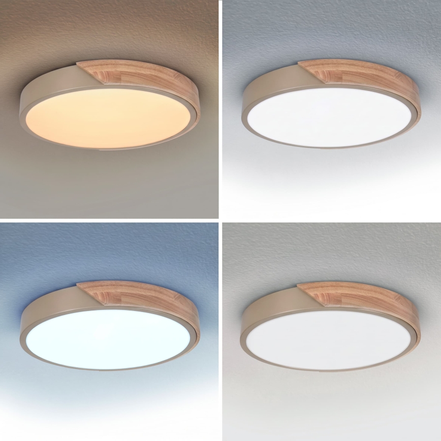 BRILAGI - LED dimbar taklampa PILANA LED/48W/230V 3000-6500K ek/beige Ø 40 cm + fjärrkontroll