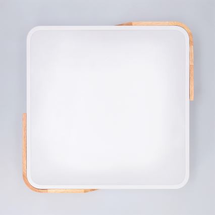 Brilagi - Dimbart LED-takarmatur PILANA LED/48W/230V 3000-6500K ek/vit 42x42 cm + fjärrkontroll