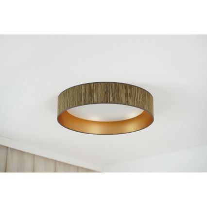 Brilagi - LED-dimbar taklampa VEGAS SHINE LED/24W/230V Ø 45 cm 3000/4000/6500K halmbrun/guld + fjärrkontroll