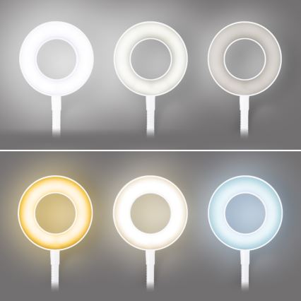 Brilagi - Dimmbar LED-lampa med klämma ORBELA LED/8W/5V 3000/4000/5000K vit