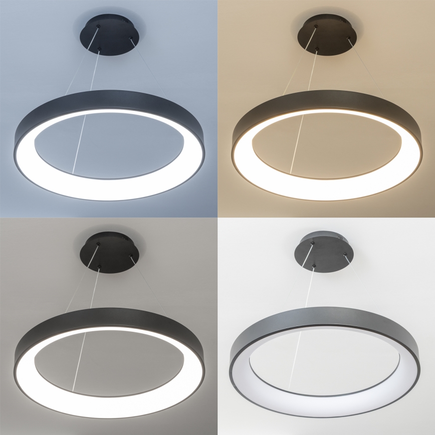 Brilagi - LED dimbar pendellampa på vajer FALCON II LED/99W/230V 3000-6500K Ø 60 cm svart + fjärrkontroll