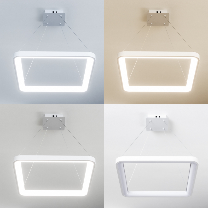 Brilagi - Dimbar LED-pendellampa med vajerupphängning FALCON SLIM LED/50W/230V 3000-6500K 50x50 cm vit + fjärrkontroll