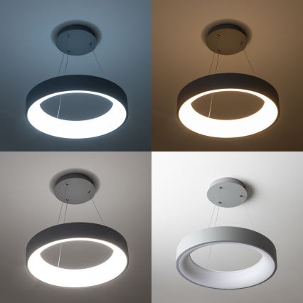 Brilagi - LED dimbar takpendel på vajer FALCON LED/40W/230V 3000-6500K Ø 45 cm grå + fjärrkontroll