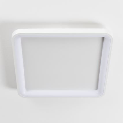 Brilagi - LED Dimmbar takarmatur FALCON SLIM LED/50W/230V 3000-6500K 50x50 cm vit + fjärrkontroll