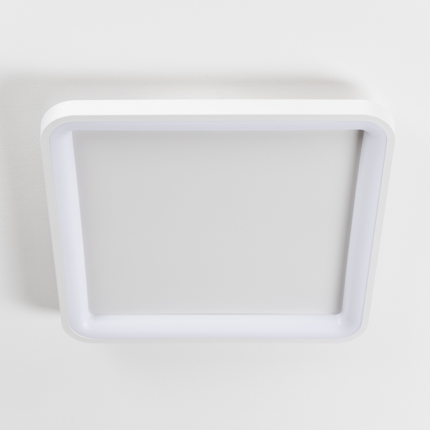 Brilagi - LED Dimmbar takarmatur FALCON SLIM LED/50W/230V 3000-6500K 50x50 cm vit + fjärrkontroll