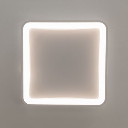 Brilagi - LED Dimmbar takarmatur FALCON SLIM LED/50W/230V 3000-6500K 50x50 cm vit + fjärrkontroll