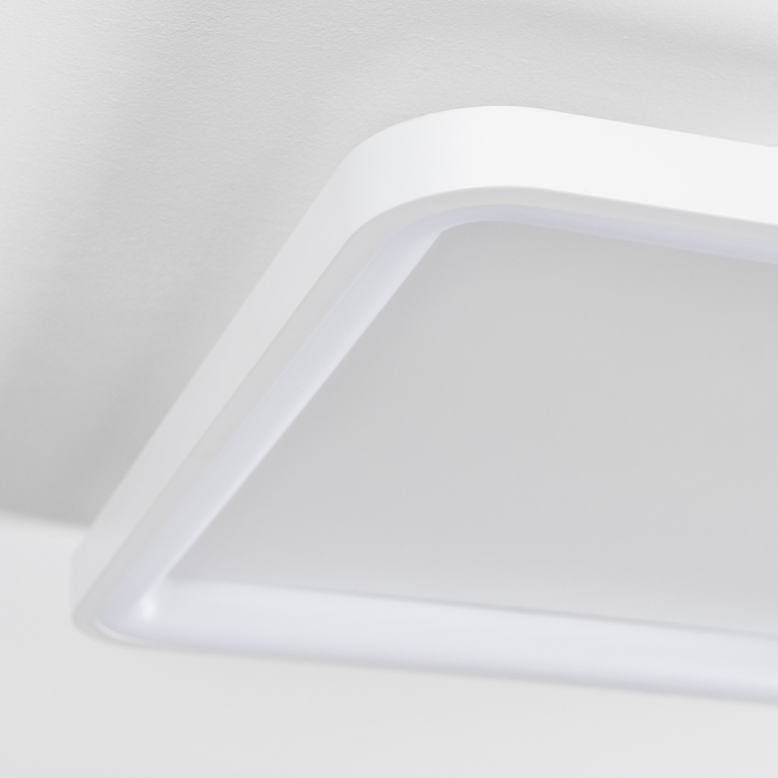 Brilagi - LED Dimmbar takarmatur FALCON SLIM LED/50W/230V 3000-6500K 50x50 cm vit + fjärrkontroll