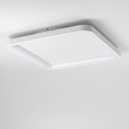 Brilagi - LED Dimmbar takarmatur FALCON SLIM LED/50W/230V 3000-6500K 50x50 cm vit + fjärrkontroll