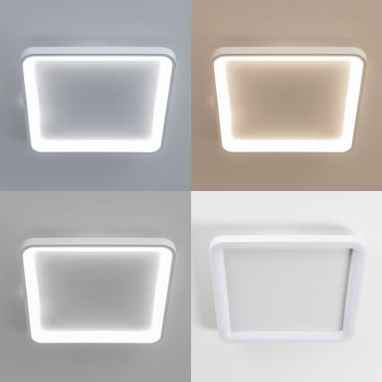 Brilagi - LED Dimmbar takarmatur FALCON SLIM LED/50W/230V 3000-6500K 50x50 cm vit + fjärrkontroll