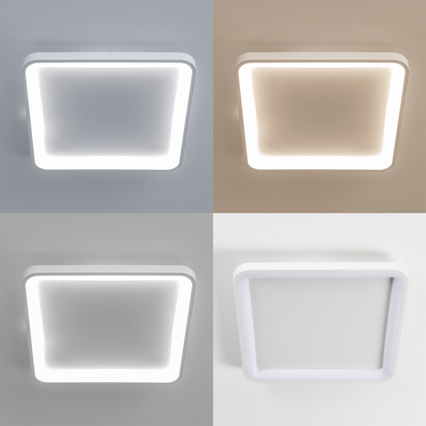 Brilagi - LED Dimmbar takarmatur FALCON SLIM LED/50W/230V 3000-6500K 50x50 cm vit + fjärrkontroll