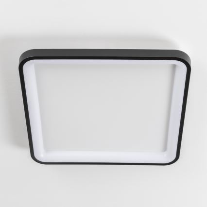 Brilagi - LED-dimbar takarmatur FALCON SLIM LED/50W/230V 3000-6500K 50x50 cm svart + fjärrkontroll