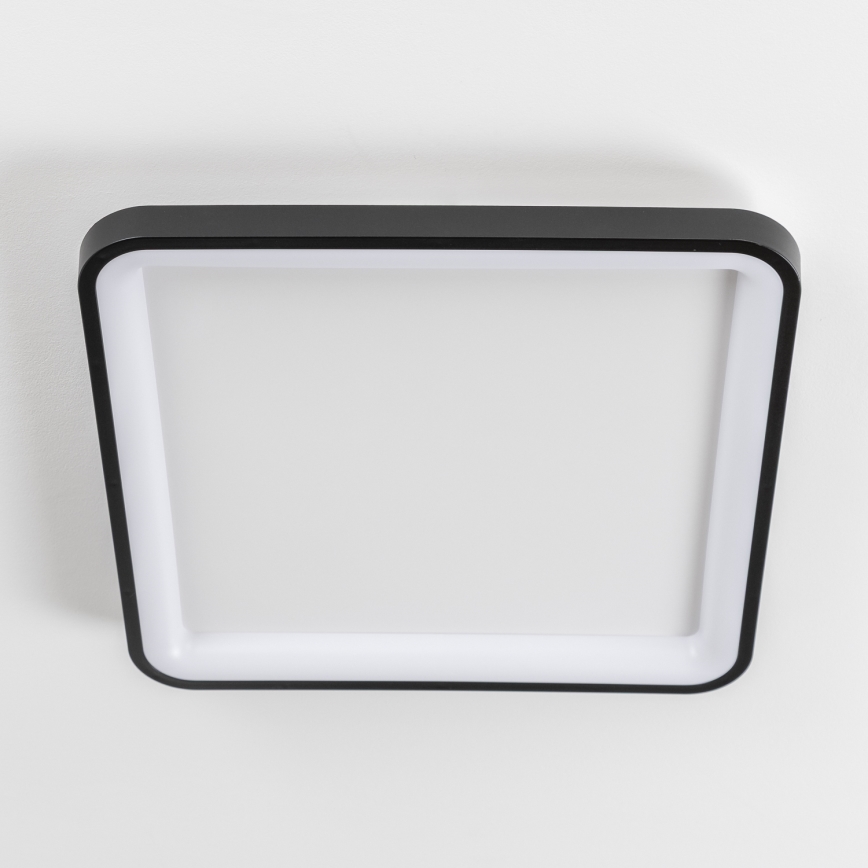 Brilagi - LED-dimbar takarmatur FALCON SLIM LED/50W/230V 3000-6500K 50x50 cm svart + fjärrkontroll