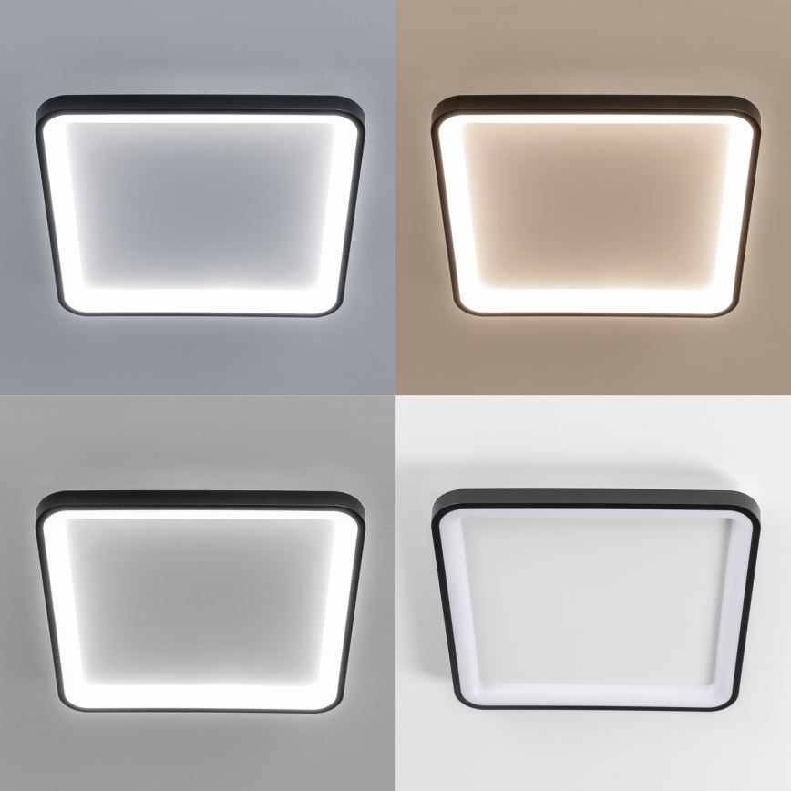 Brilagi - LED-dimbar takarmatur FALCON SLIM LED/50W/230V 3000-6500K 50x50 cm svart + fjärrkontroll