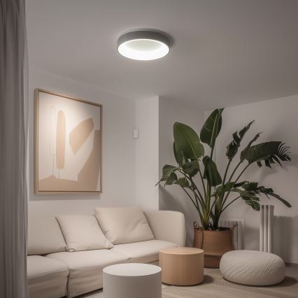 Brilagi - Dimbar LED-taklampa FALCON LED/40W/230V 3000-6500K Ø45 cm grå + fjärrkontroll