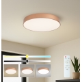 BRILAGI - dimmbar LED-taklampa POOL LED/60W/230V 3000–6000K Ø 50 cm bronsfärgad + fjärrkontroll
