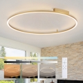 Brilagi - Dimmbar LED-taklampa PORTOFINO LED/85W/230V 3000-6000K Ø 120 cm guld + fjärrkontroll