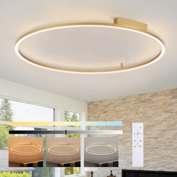 Brilagi - Dimmbar LED-taklampa PORTOFINO LED/85W/230V 3000-6000K Ø 120 cm guld + fjärrkontroll