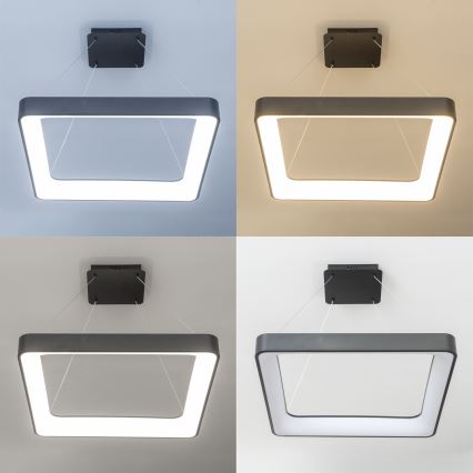 Brilagi - LED-dimmbar pendellampa på vajer FALCON II LED/125W/230V 3000-6500K 60x60 cm svart + fjärrkontroll