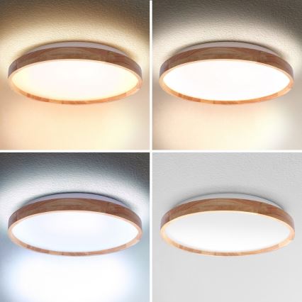 BRILAGI - Dimmbar LED-taklampa ALSON LED/48W/230V 3000-6500K ek Ø 39,5 cm + fjärrkontroll
