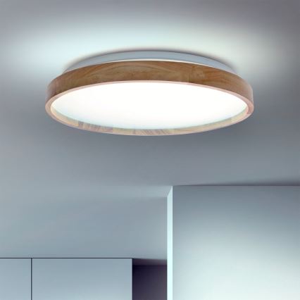 BRILAGI - Dimmbar LED-taklampa ALSON LED/48W/230V 3000-6500K ek Ø 39,5 cm + fjärrkontroll