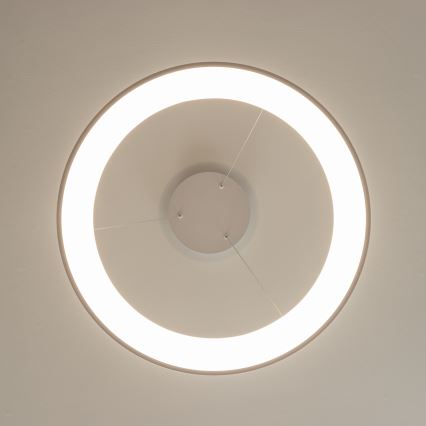 Brilagi - LED-dimmbar pendellampa på vajer FALCON II LED/99W/230V 3000-6500K Ø 60 cm vit + fjärrkontroll