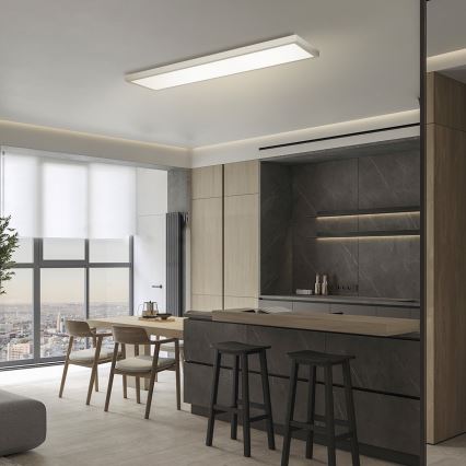 Brilagi - FRAME LED-taklampa för badrum LED/50W/230V 3000/4000/6000K 120x30 cm IP44 silverfärgad