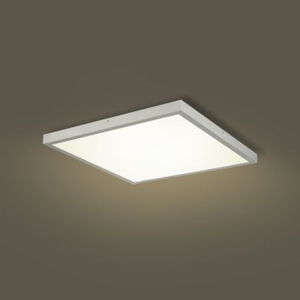 Brilagi - LED badrumstaklampa FRAME LED/50W/230V 3000/4000/6000K 60x60 cm IP44 silver