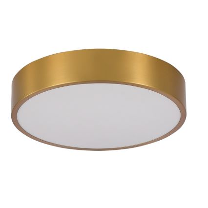 Brilagi - LED badrumsarmatur POOL LED/24W/230V 3000/4000/5500K Ø 30 cm IP54 brons
