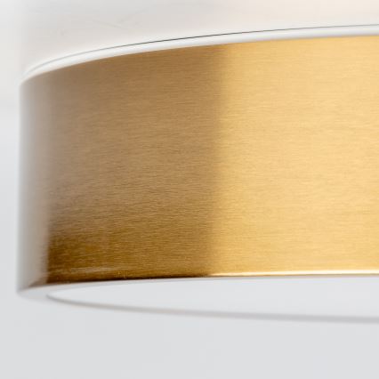 Brilagi - LED badrumsarmatur POOL LED/24W/230V 3000/4000/5500K Ø 30 cm IP54 brons